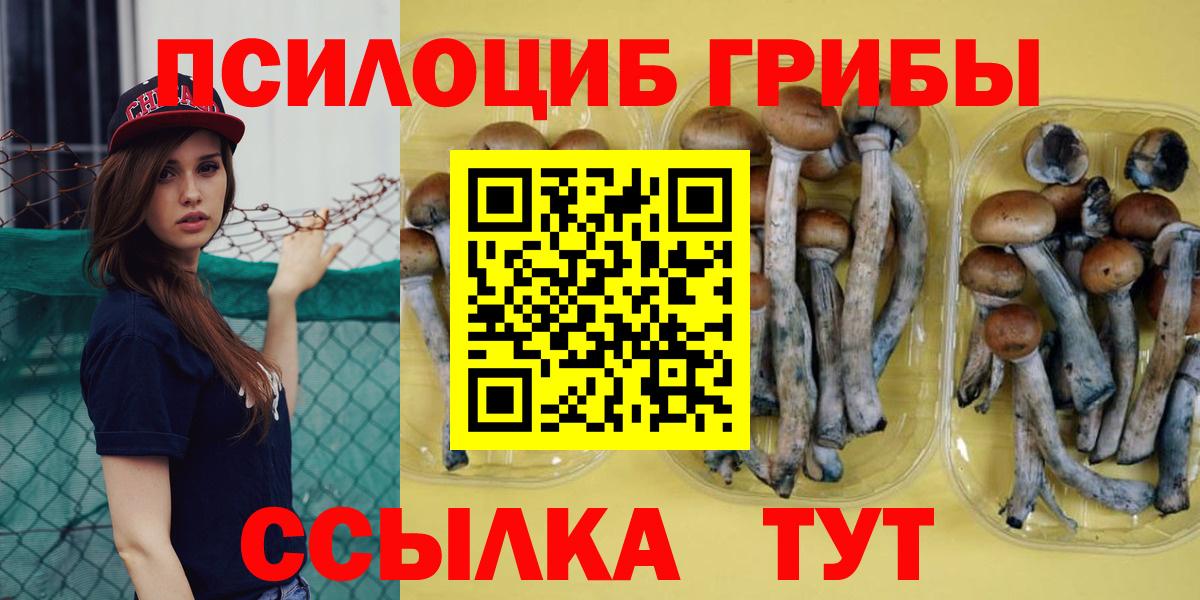 Ливны  Псилоцибиновые грибы мицелий  Вход с VPN 