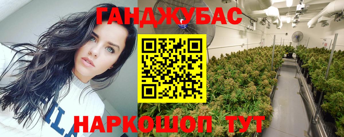 Шишки марихуана Amnesia Ливны